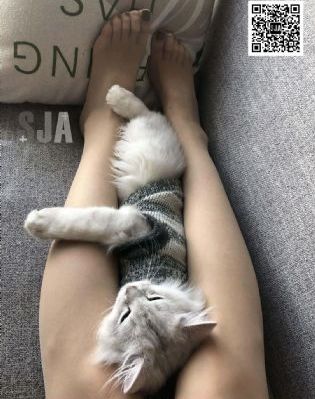 日本野花免费_高清手机免费观看完整