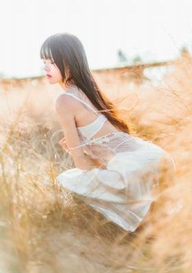 傲骨贤妻在线观看免费完整版_1080P高清视频观看