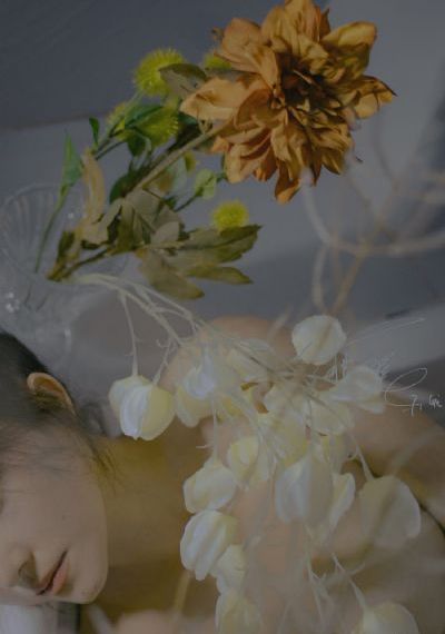 倒霉熊电影免费全集完整版_BDHD高清在线观看
