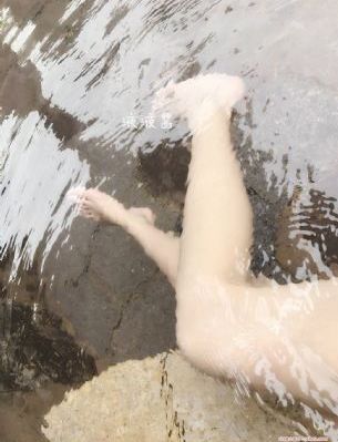 树先生免费观看全集_BD电视剧在线观看